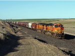 BNSF 4384
